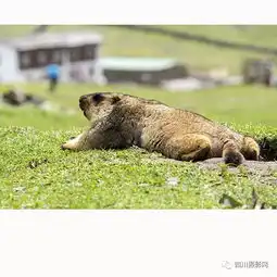 君君2006我的家在这里