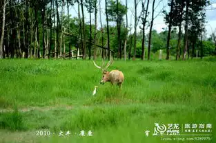 实拍太湖渔民的水上捕鱼生活