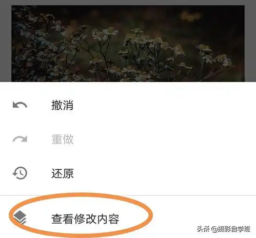 怎么把一张暗的照片调亮想让照片主次分明,这4个摄影技巧,可能帮你附蒙版调色教程...