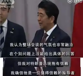 第一次觉得安倍可怜,今天他被日本人骂的太惨了