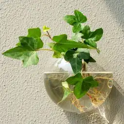 3.12除了植树,还有这些玩法