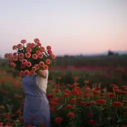 婚姻里,女人最需要的,不是懂事