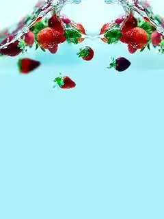 温州哪里最繁华