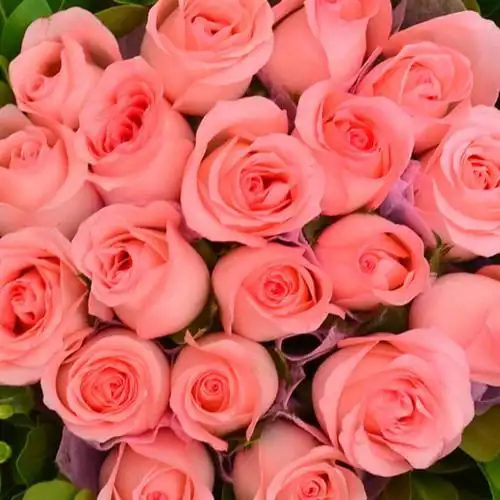 8月9号期间,桃花灿烂,姻缘来袭,收获甜蜜爱情的四大生肖