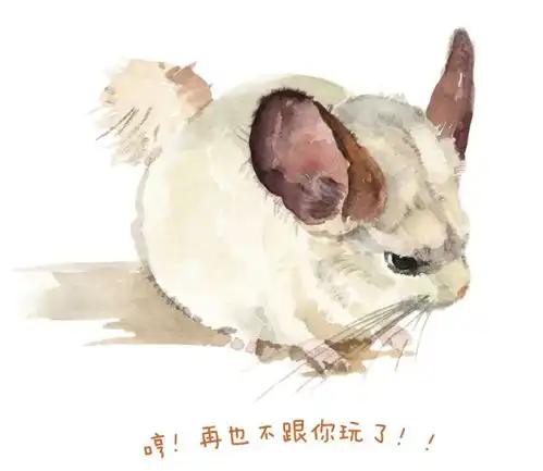 时光缓慢流过,用色彩记录生活
