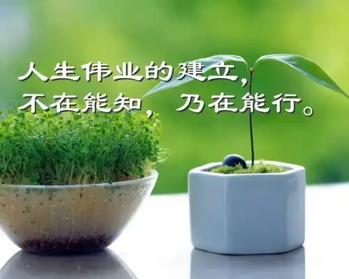 2020发朋友圈的早安唯美语录句子