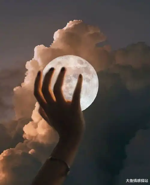 测试一个超长简介的文章