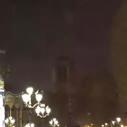 全世界都在哭泣巴黎圣母院火灾后内部照片公布,现场还有这些温州人身影