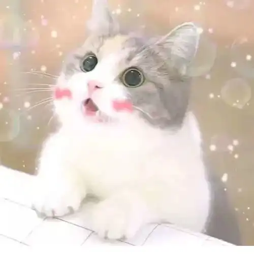 徐志摩爱国诗歌大全