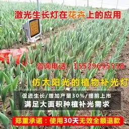 全光谱led植物生长灯,植物生长灯有用吗,植物生长灯高清图片高清大图