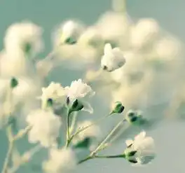 这,就是我做人的底线