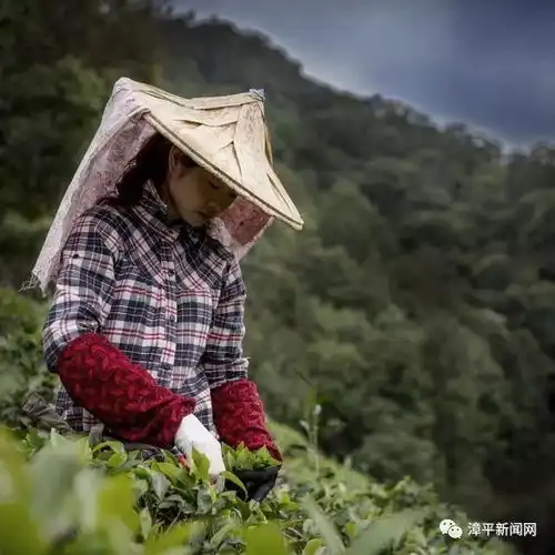 一组图片带我们走进美丽的家乡漳平