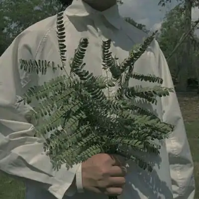 手里捧着花拿花的男生头像