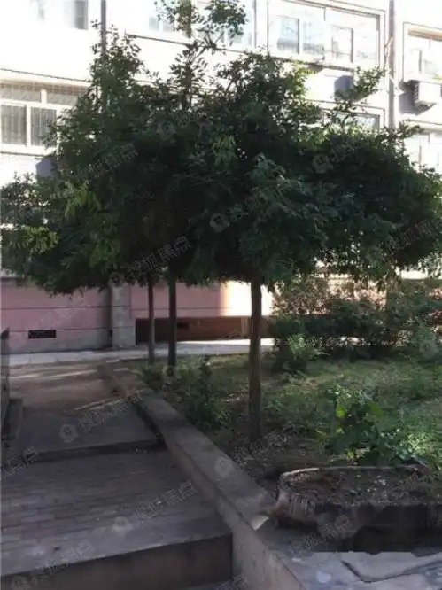 雅枫小区图片样板间装修效果图张家口搜狐焦点网