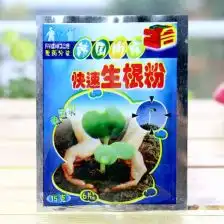 测试一个超长简介的文章