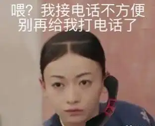 魏璎珞电话头表情图片魏璎珞电话头表情包完整版jz5u绿色下载站