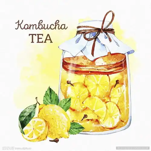 手绘素描柠檬汁矢量设计图