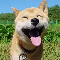 测试一个超长简介的文章