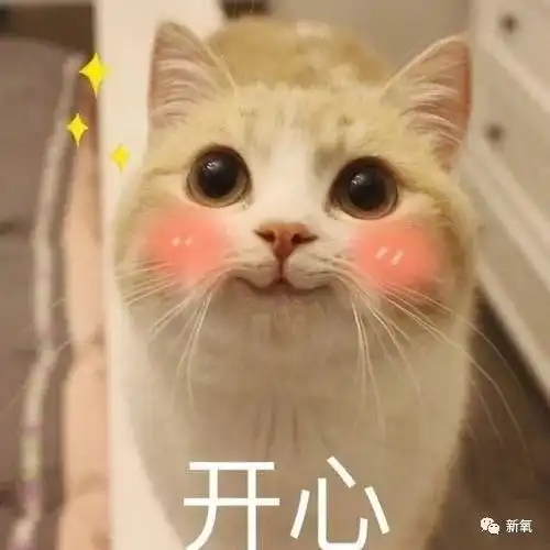 今天最甜的瓜周冬雨和易烊千玺恋情石锤