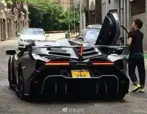 这车罕见,甄子丹和林保怡见到这车都要合影,比拉法贵好几倍
