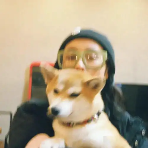 微信头像精致好看