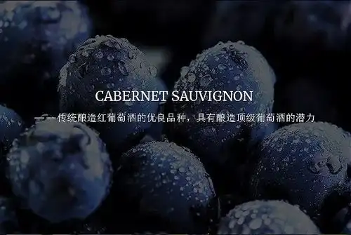 蓝河骑士红葡萄酒,带你领略骑士般的高贵优雅