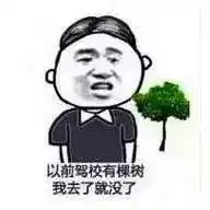 我妈去考个驾照回来,教练就成了我后爸,exe