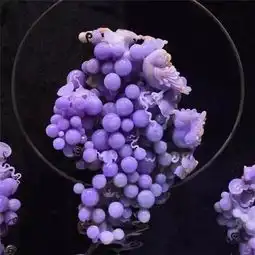 起拍价1800万的紫罗兰翡翠摆件,堪称绝世精品