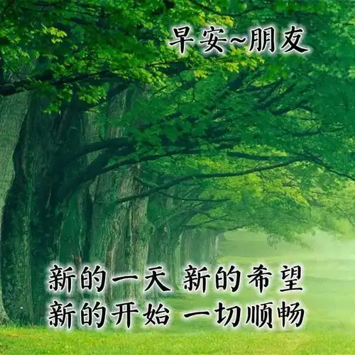 早安祝您夏日安康