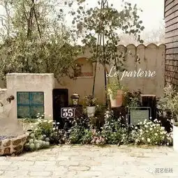 开一家解忧植物店,以此为生
