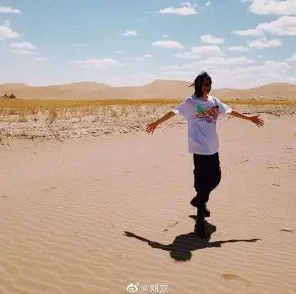 刘雯微博营业西部看日出日落数羊数骆驼