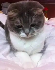 说时迟,那时快