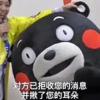 熊本熊拒收消息恶搞表情包下载拒收消息熊本熊表情包高清无水印极光下载站