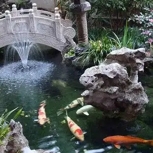 测试一个超长简介的文章