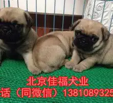 黄页88高清图片