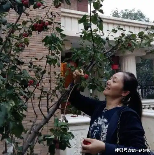 走进赵丽娟住的豪宅,连门厅都有高档罗马柱装饰,院子里种植大树