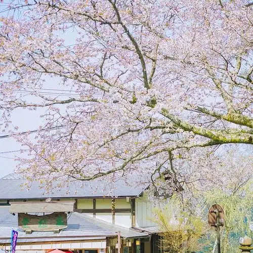 2020吉野山门票,吉野町吉野山游玩攻略,吉野山游览攻略路线地址门票价格