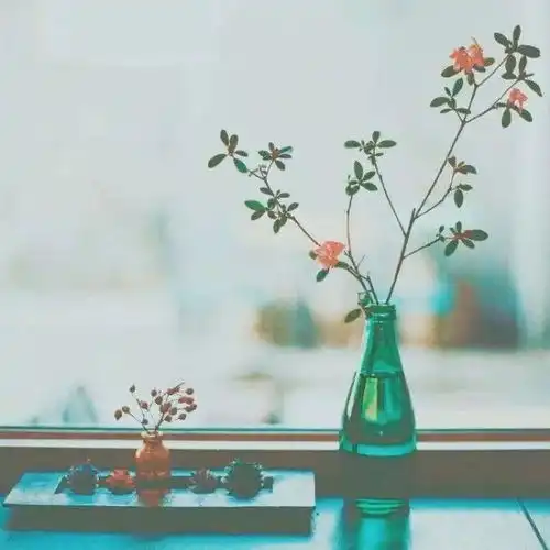 阮直让文学蜜饯一下我们的生活