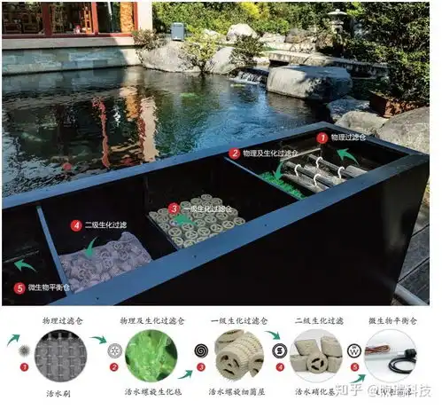 锦鲤鱼池过滤设备,鱼池过滤系统怎么正确选择