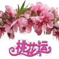 微信桃花财运头像微信头像图片大全