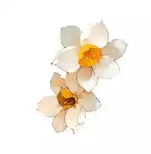 名师解析高考必背诗词名篇李白行路难