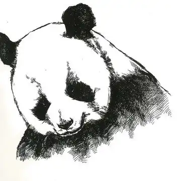 全站相册标签黑白画