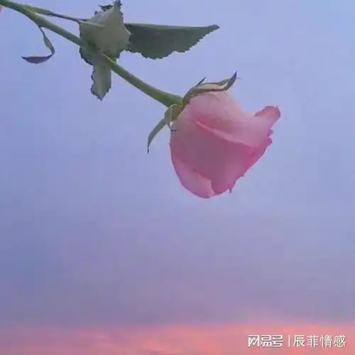 智慧的女人,会这样和男人断联后会有的三种表现