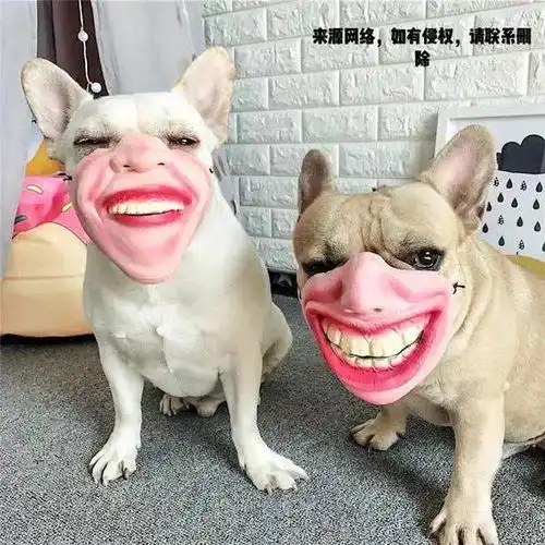 看了网友评出的2020年丑东西,我竟然有那么一点爱上了