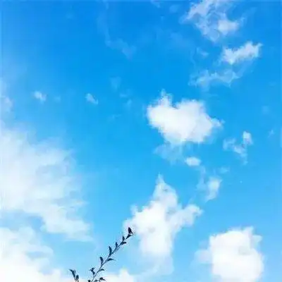 安远刘某偷盗电动车,将其中两辆车锁撬开放置在家中使用,另一辆则放置在老家使用防盗