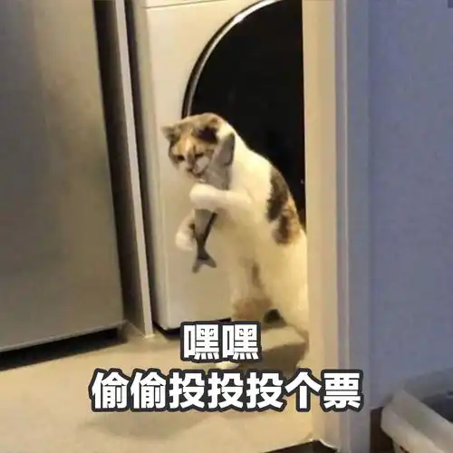 2020第22周周之歌诞生