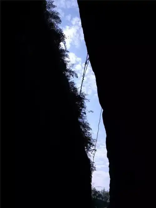 美文浙桥村,那些美丽的风景