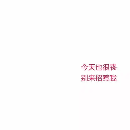 近期的合集图片第二期