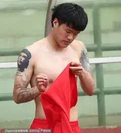 测试一个超长简介的文章