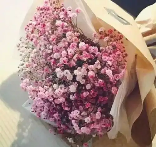 测试一个超长简介的文章